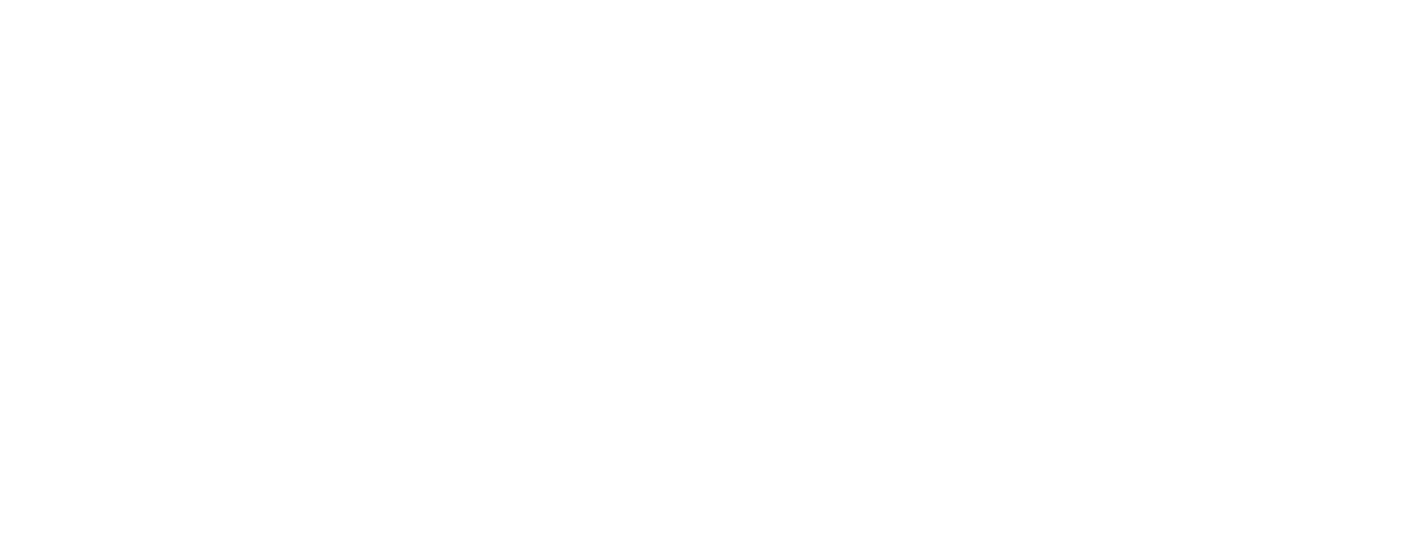 michill TANESASHI