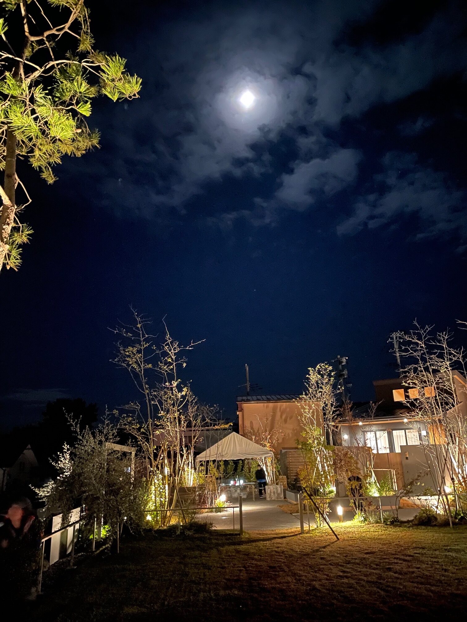 ミチル種差で　お月見ディナー 2025